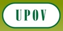 В России впервые пройдет сессия Международного союза по охране новых сортов растений