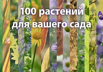 Вышла новая книга Татьяны Койсман «100 растений для вашего сада»