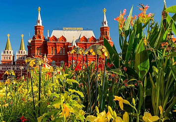 Открыт прием заявок на конкурс городского ландшафтного дизайна «Цветочный джем-2019»